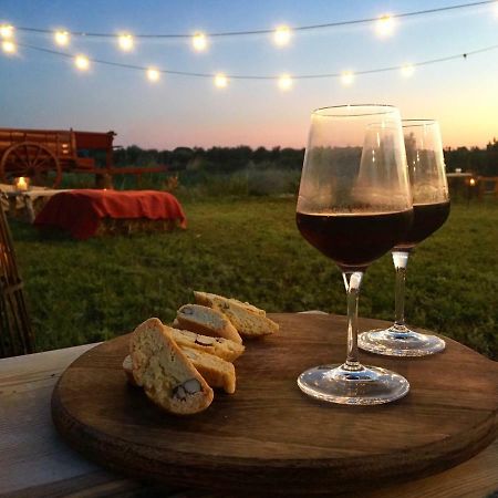 Agriturismo Quattro Pini Castagneto Carducci Eksteriør billede
