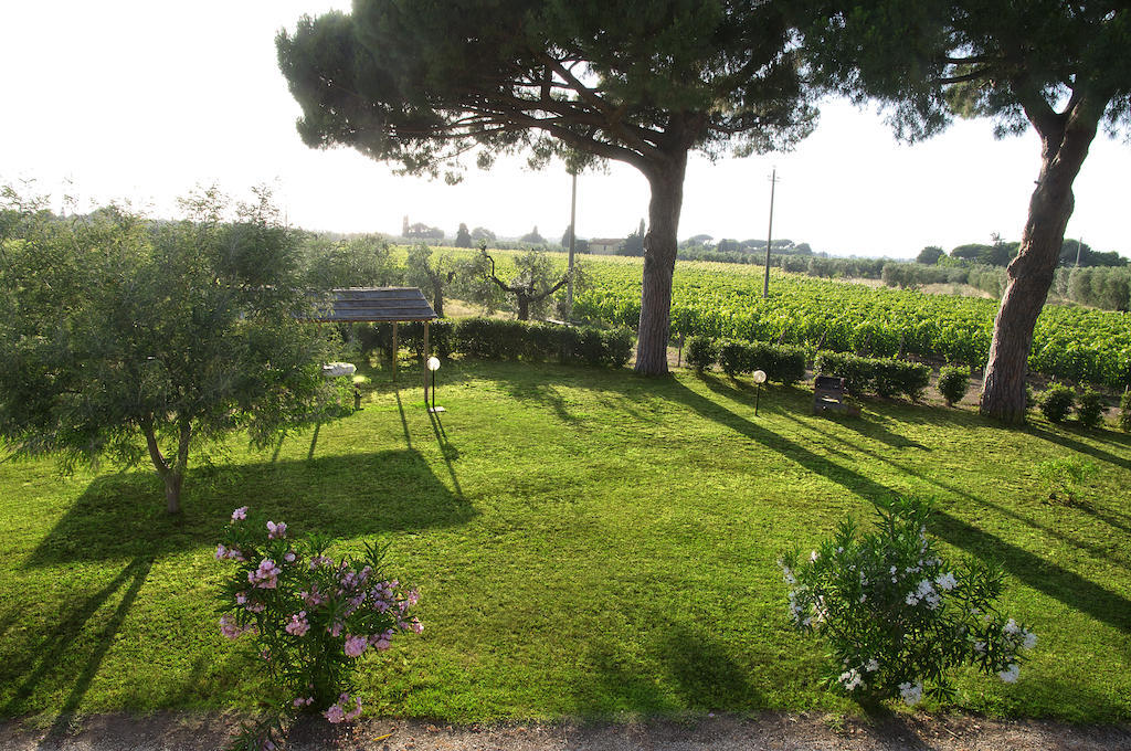Agriturismo Quattro Pini Castagneto Carducci Værelse billede