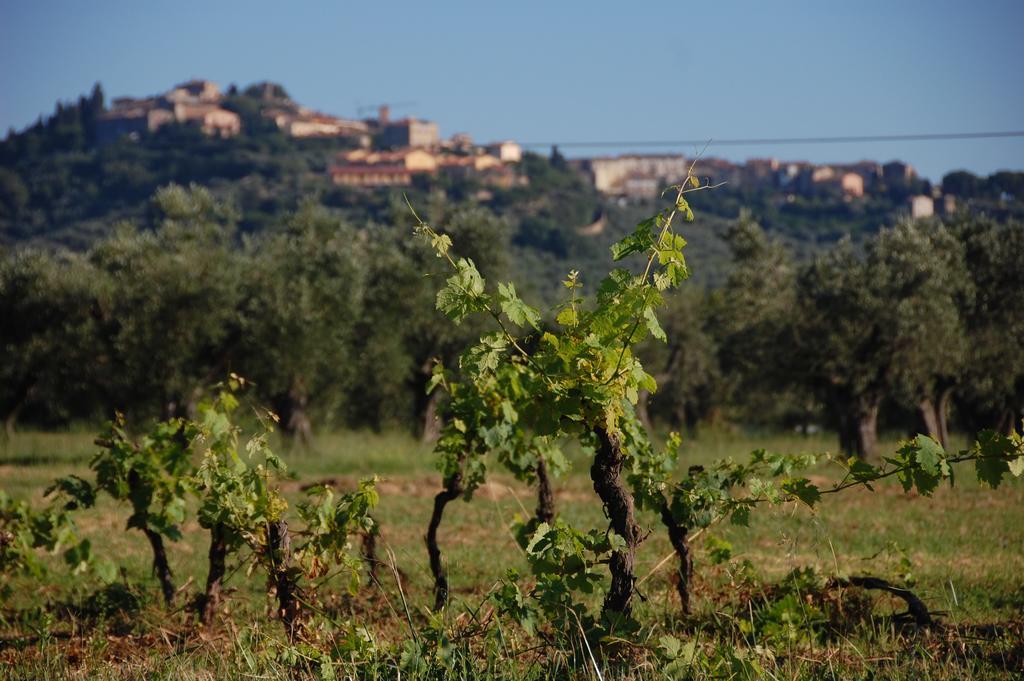 Agriturismo Quattro Pini Castagneto Carducci Eksteriør billede