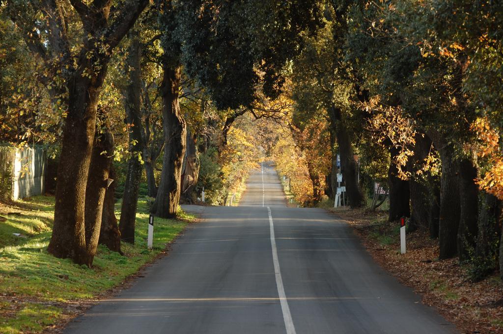 Agriturismo Quattro Pini Castagneto Carducci Eksteriør billede