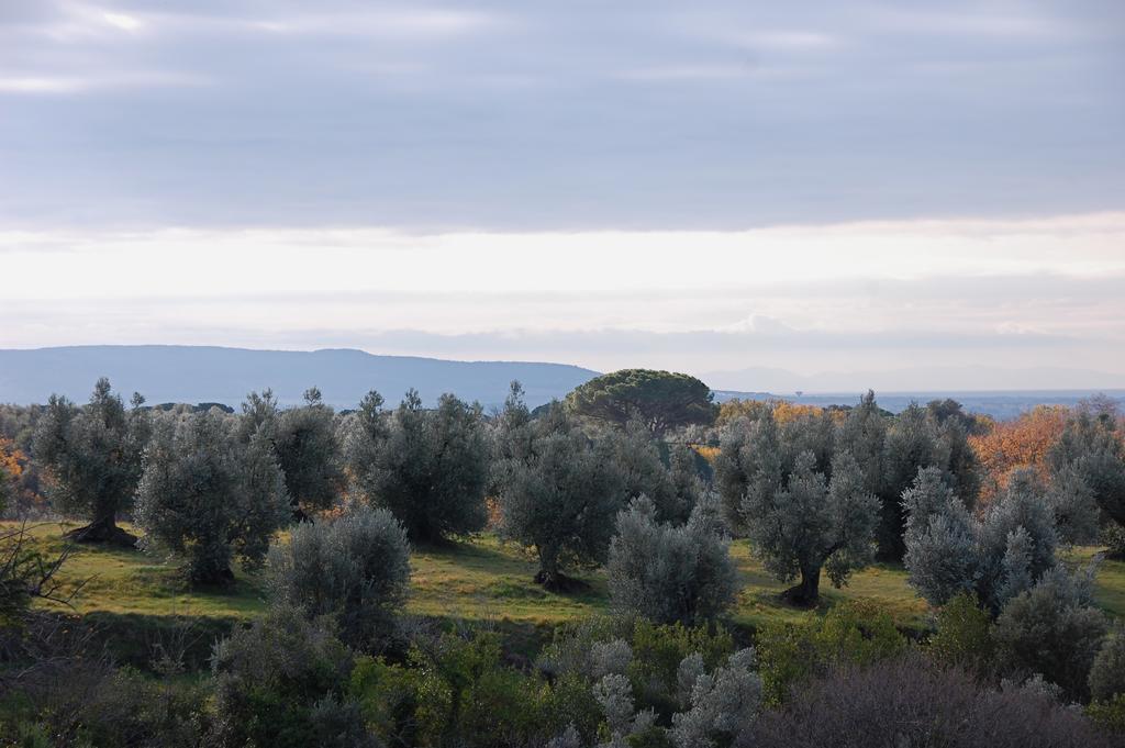 Agriturismo Quattro Pini Castagneto Carducci Eksteriør billede
